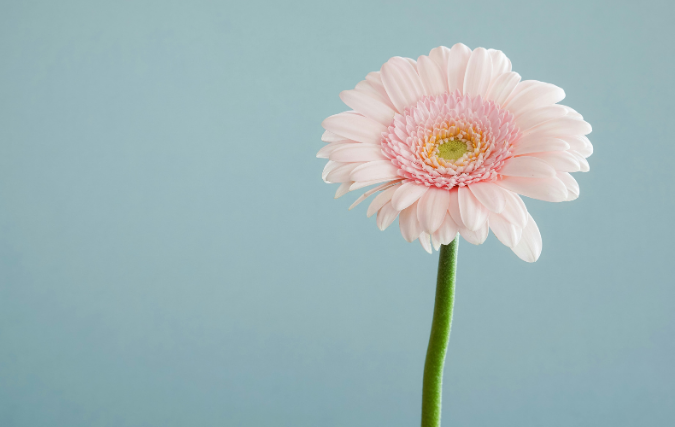 Met oog voor mens, planeet en toekomst: waarom bloomon pionier is in een duurzamere bloemenindustrie