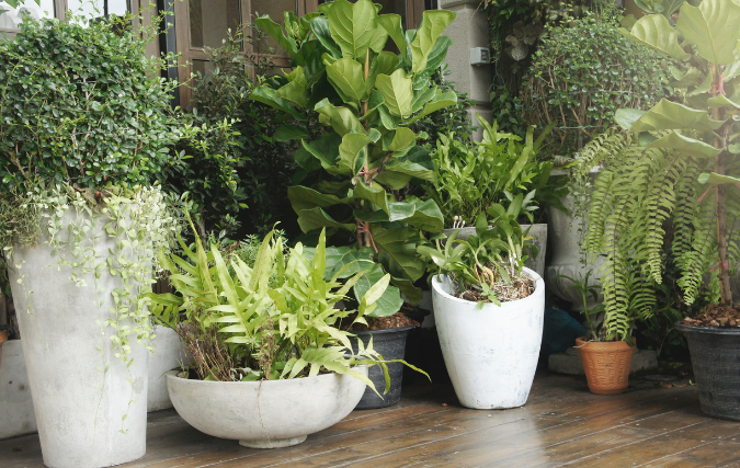 10 tips om je tuin op te vrolijken met bloempotten en plantenbakken