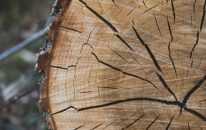 Douglas 15x15 palen: de basis voor robuuste constructies