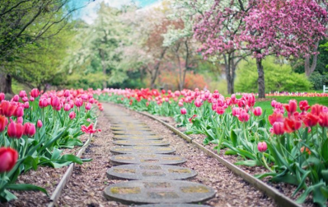 Zo ontwerp je zelf een tuin