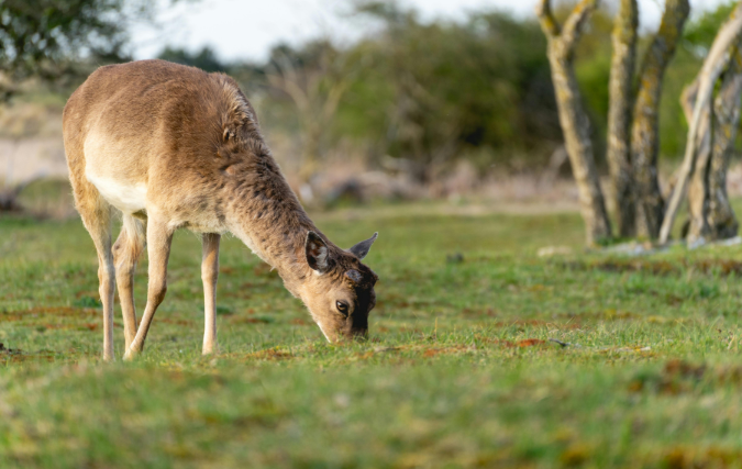 Dag van de Nationale Parken op 24 mei