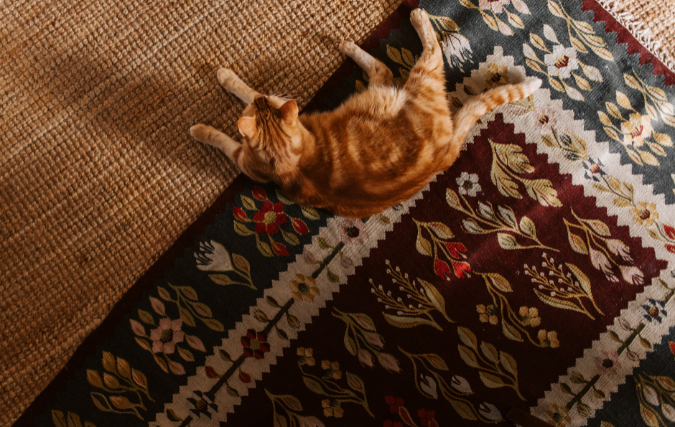 Hoe een vloerkleed sfeer brengt in je woonkamer