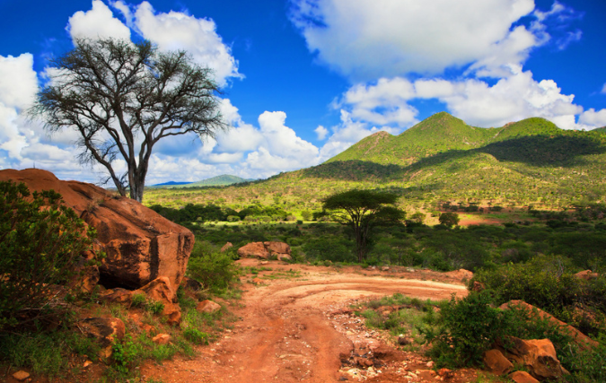 Organiseer je eigen reis naar Zuid-Afrika